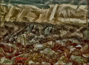 Massacre de Babi Yar