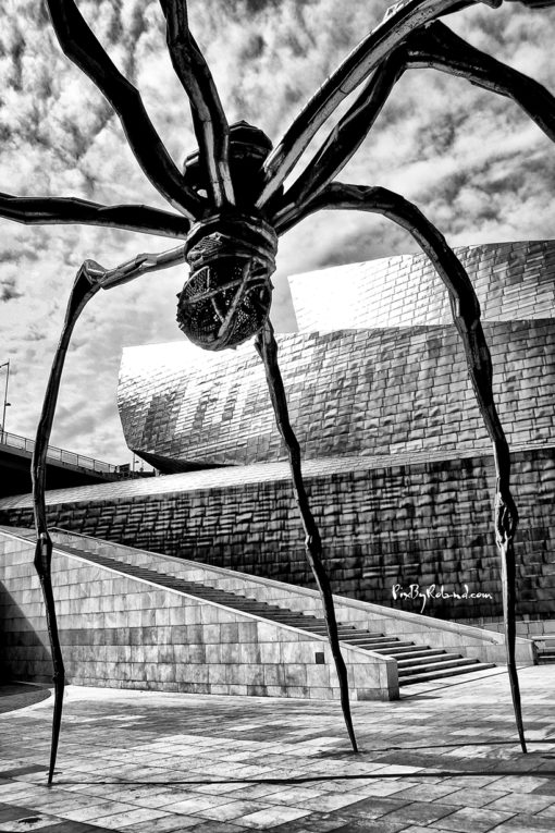 La sculpture représente une araignée monumentale, d'environ 10 m de hauteur pour autant de large. Son abdomen et son thorax sont, dans la plupart des versions, en bronze